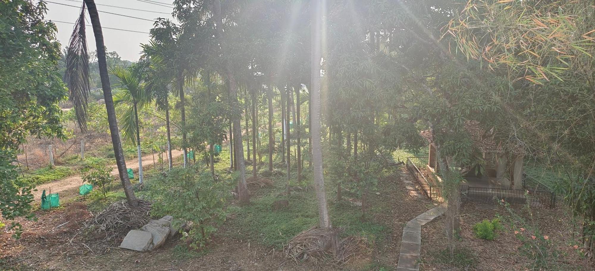 Sugamya Farm Guesthouse Sāgar Room photo