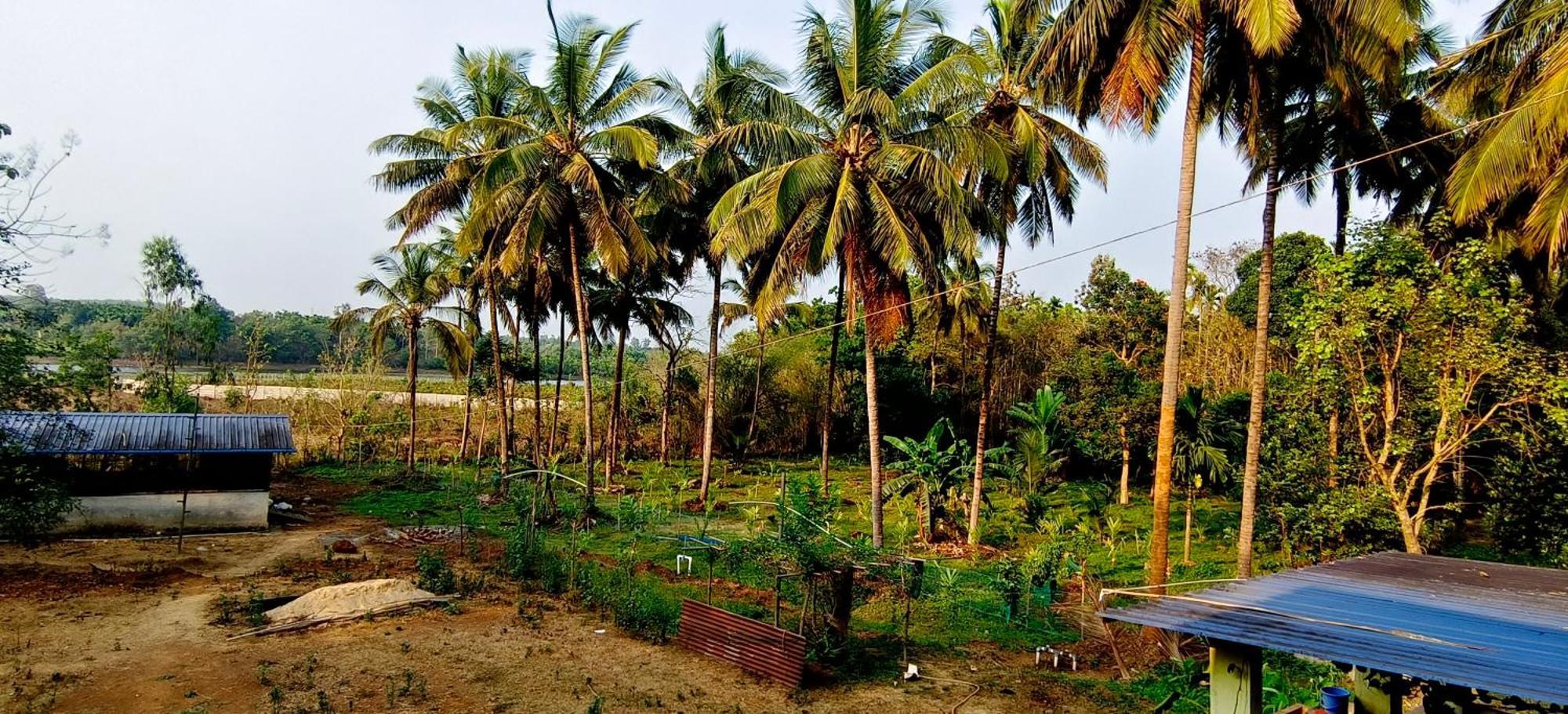 Sugamya Farm Guesthouse Sāgar Exterior photo
